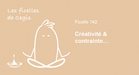 Ficelle n° 142: Créativité & contrainte…